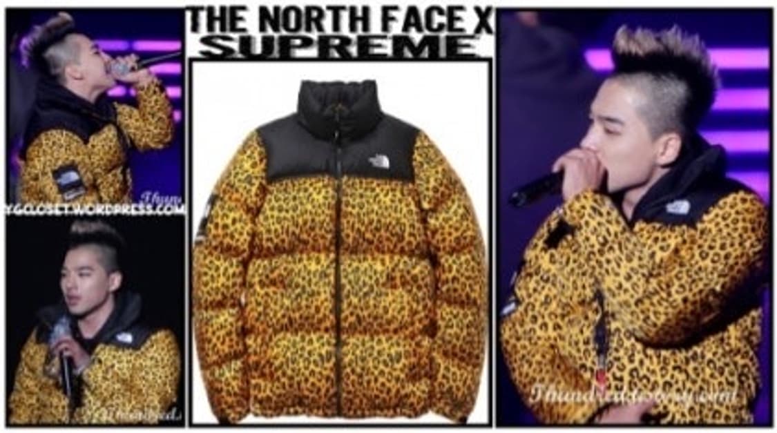 슈프림 x 노스페이스 레오파드 눕시 s 상품이미지8