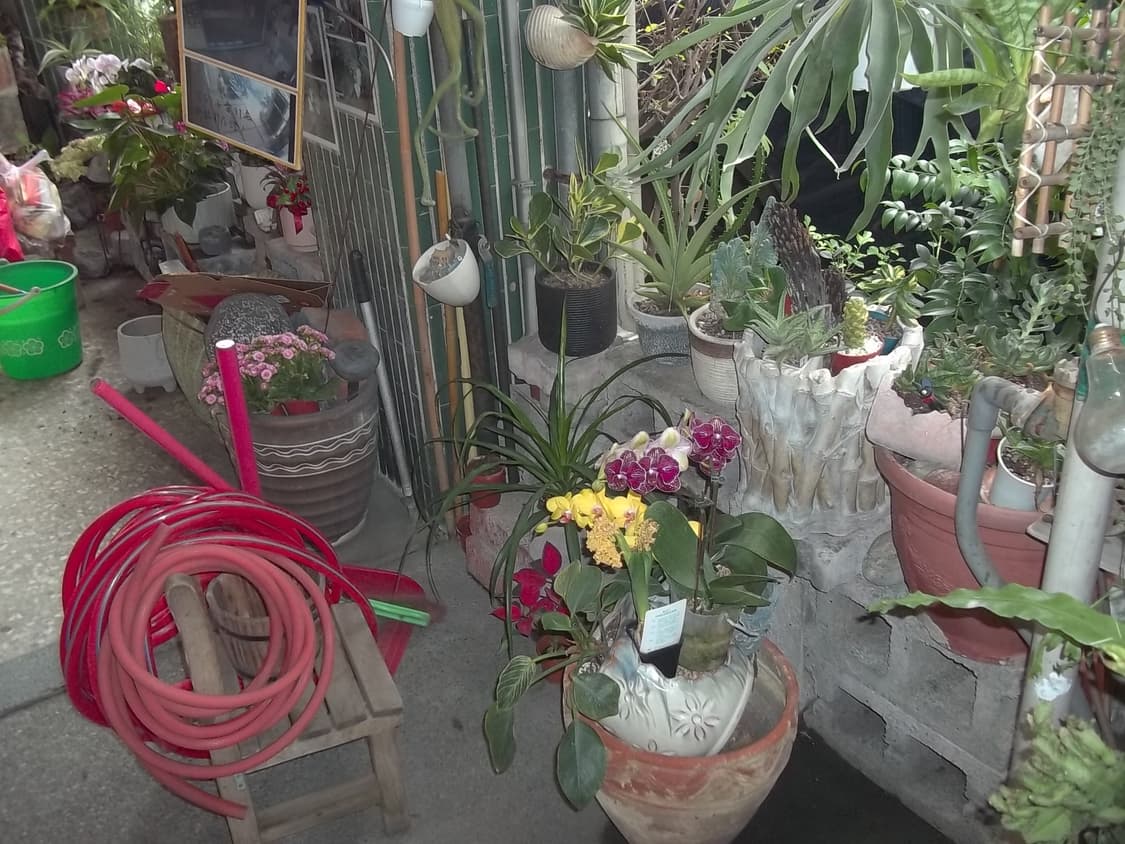 코닥 이지쉐어 c143 Kodak EasyShare C143 상품이미지8