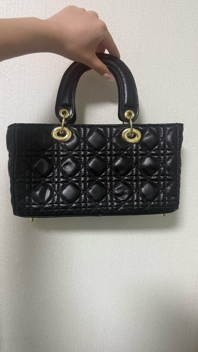 디올 레이디백 상품이미지2