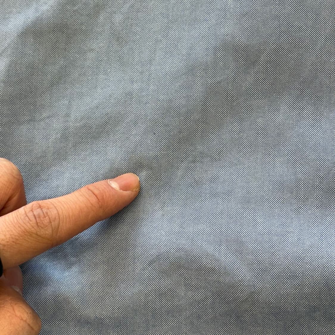 2 버버리 블랙라벨 카라티셔츠 상품이미지8