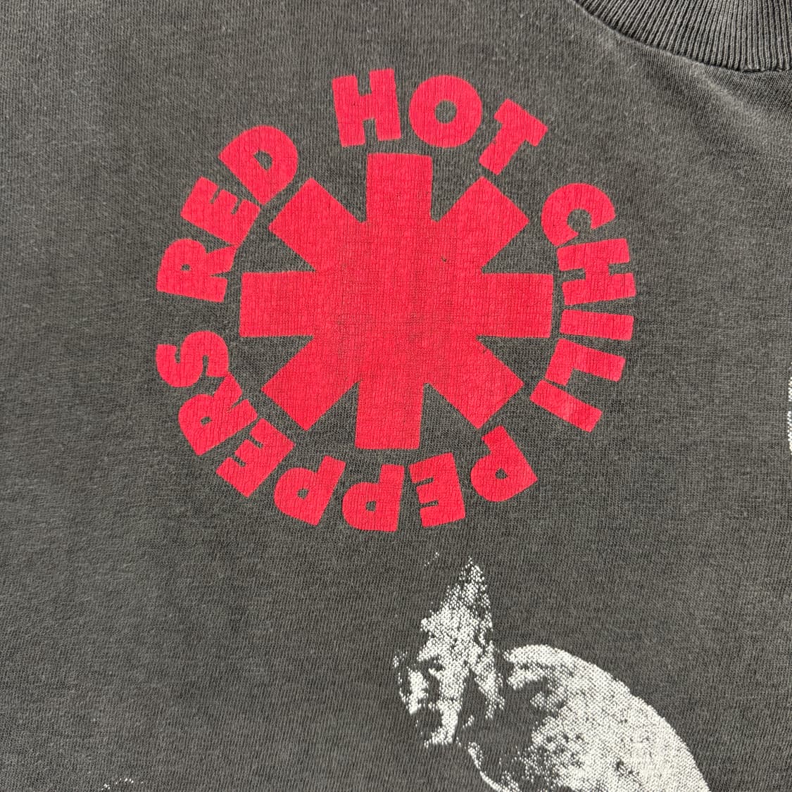 빈티지 90s 레드핫칠리페퍼스 티셔츠 RHCP Evolution Tee 상품이미지4