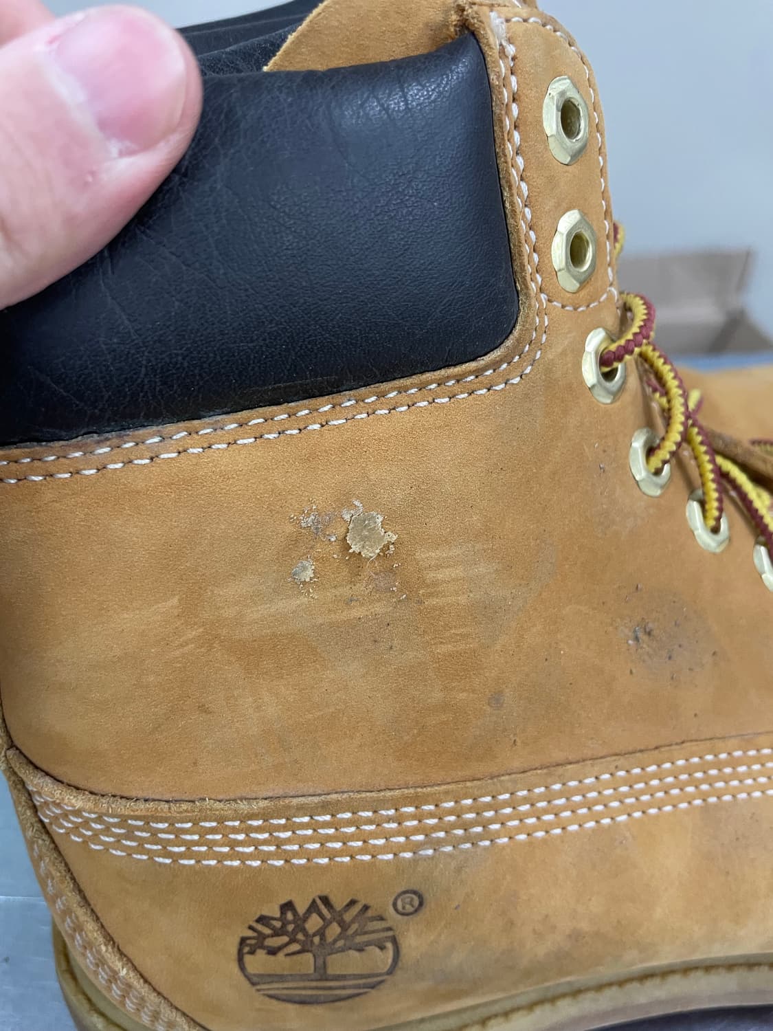 팀버랜드 6인치 프리미엄 부츠 US8 (gr-4032) 상품이미지8