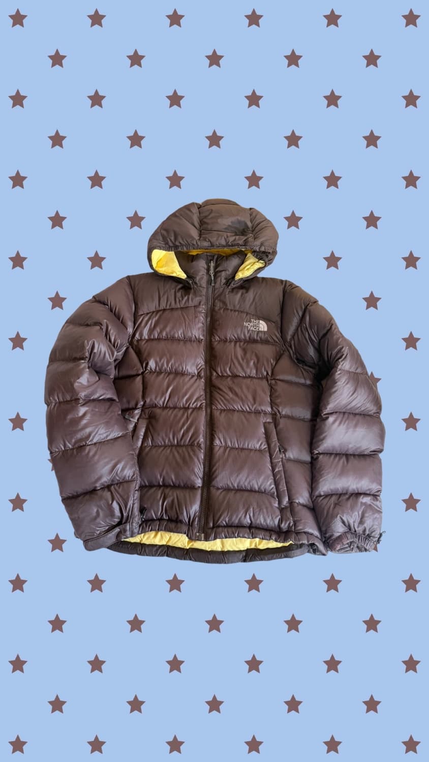 노스페이스 브라운 패딩 상품이미지1