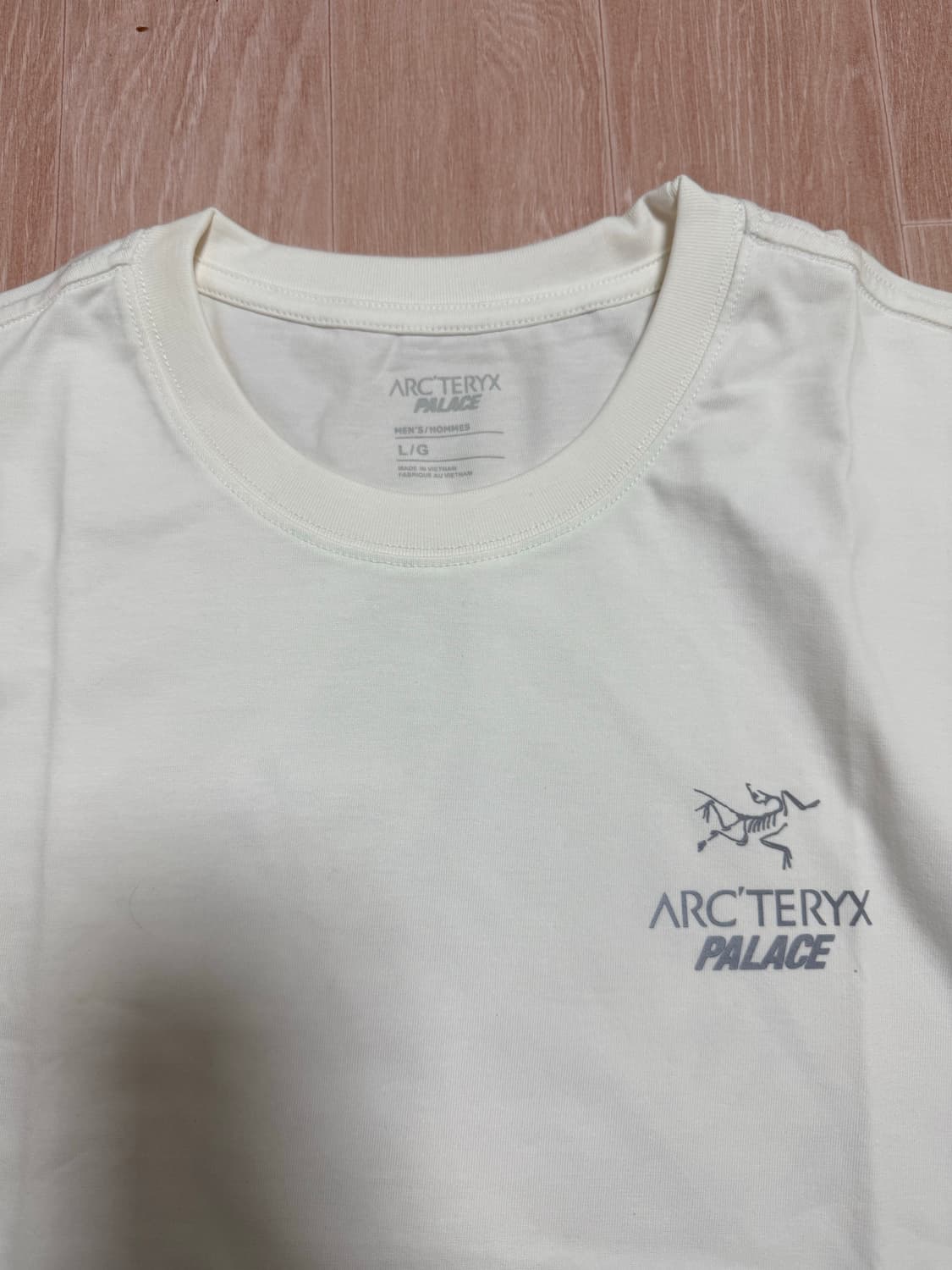 Arc’teryx × Palace 한정 콜라보 티셔츠 / L 상품이미지1