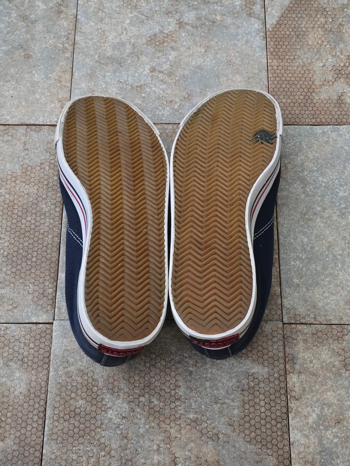 (245)라코스테 생제르맹 상품이미지9