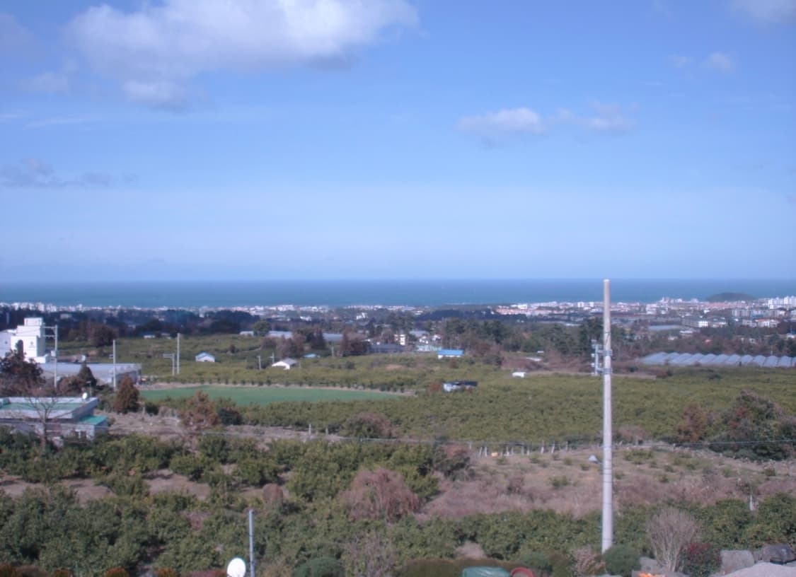 소니 사이버샷 DSC-W100 8.1 메가픽셀 상품이미지7