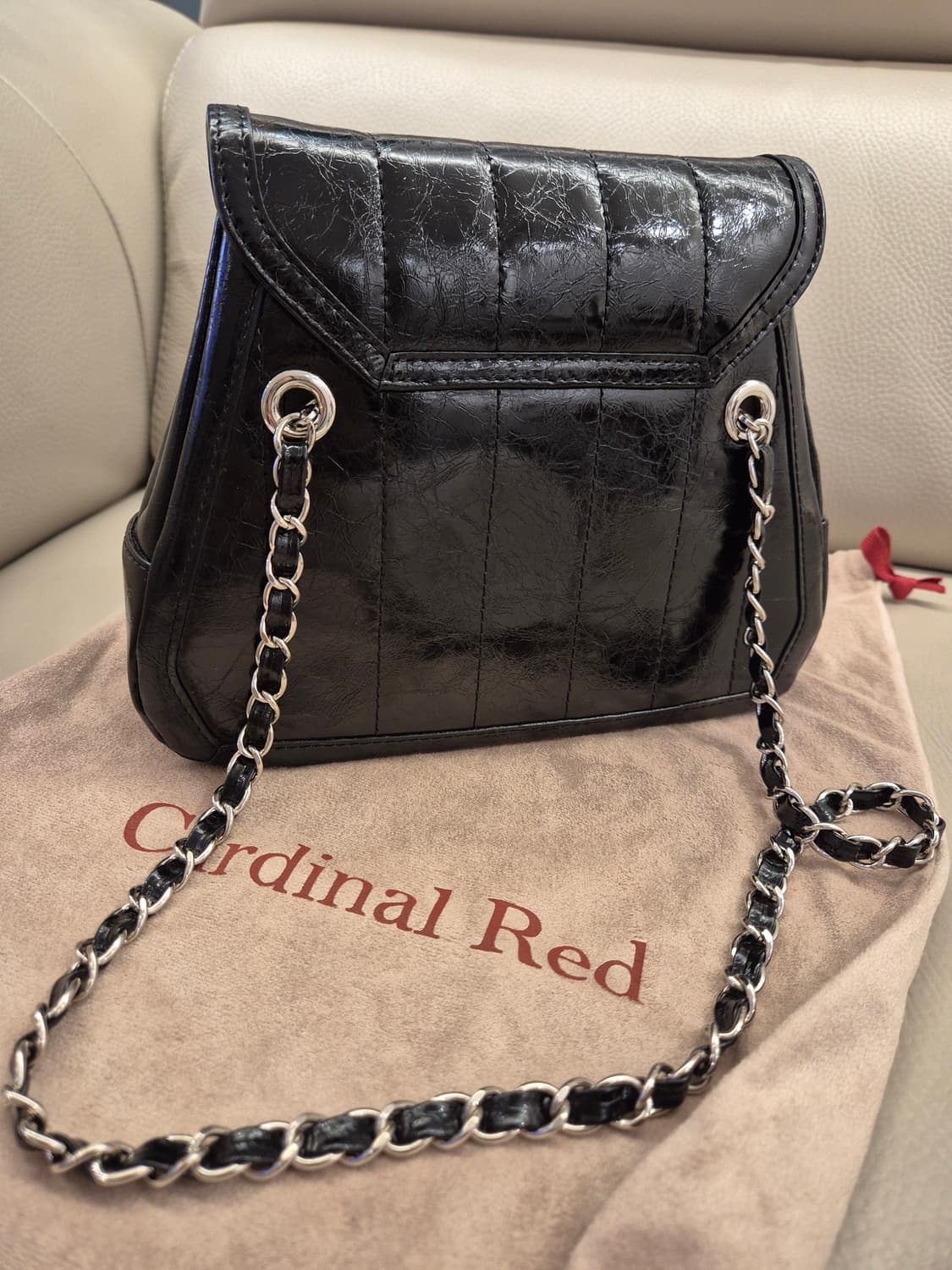 카디널레드 아울로백 블랙 상품이미지2