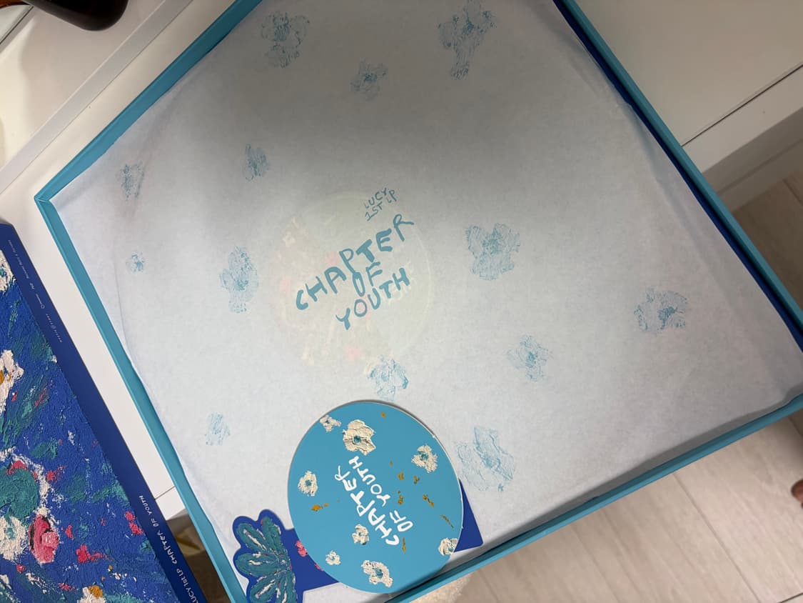 루시(LUCY)의 1st LP Chapter of Youth 앨범 LP판 상품이미지4