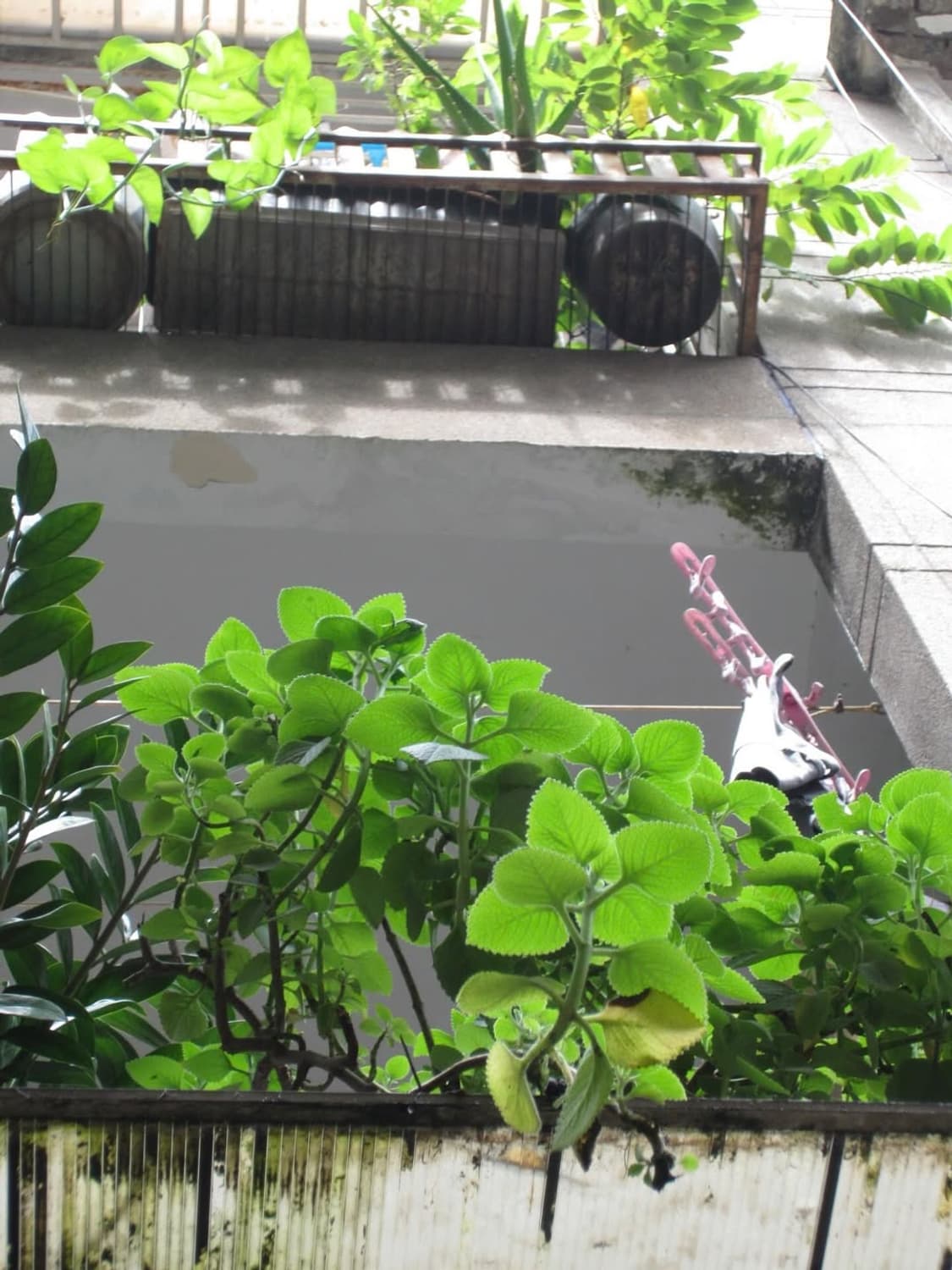 준민트급 ✨✨ 캐논 익시 410 ixy410 상품이미지2