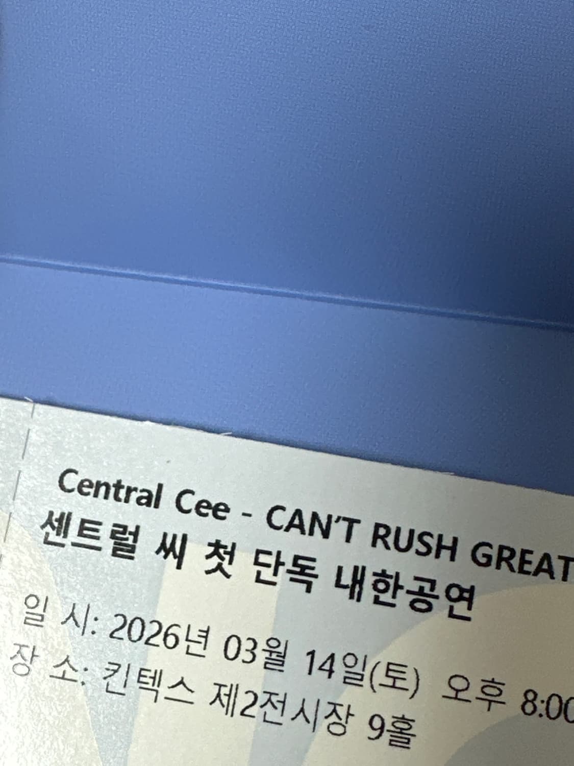 센트럴씨 콘서트 티켓 (정가이하 양도) 상품이미지2