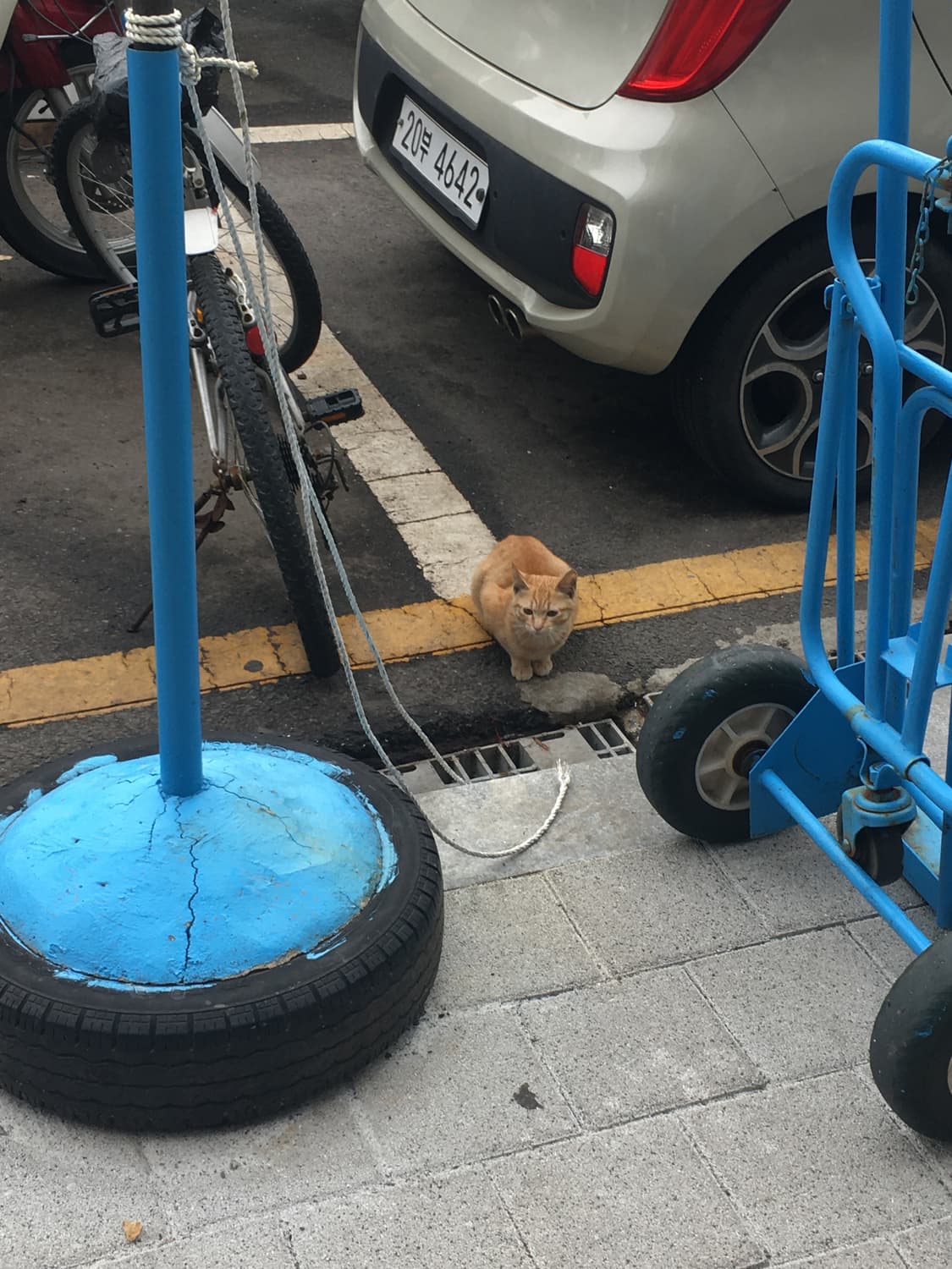 코닥 이지쉐어 c143 구합니다 상품이미지1