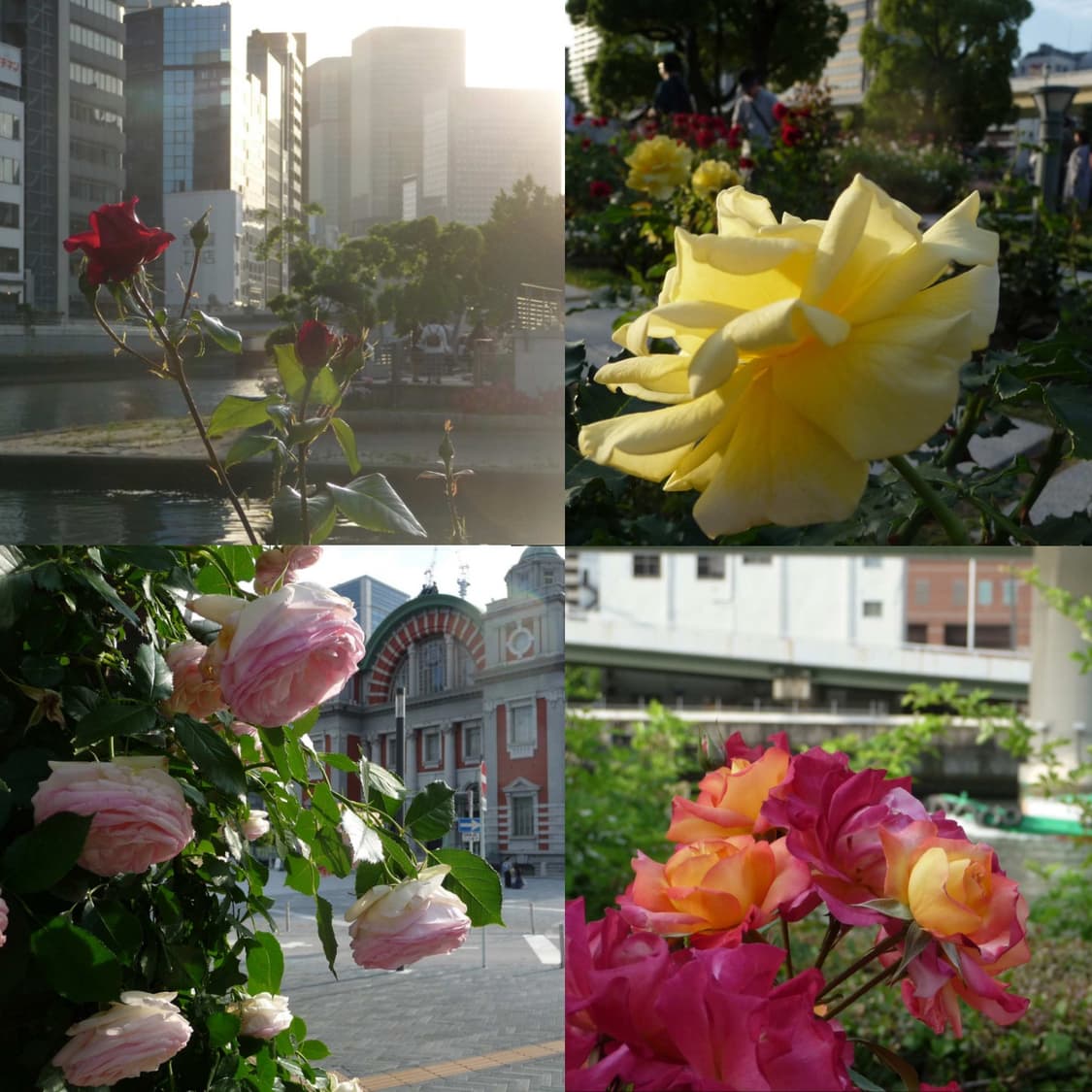 파나소닉 루믹스 dmc tz5 상품이미지4