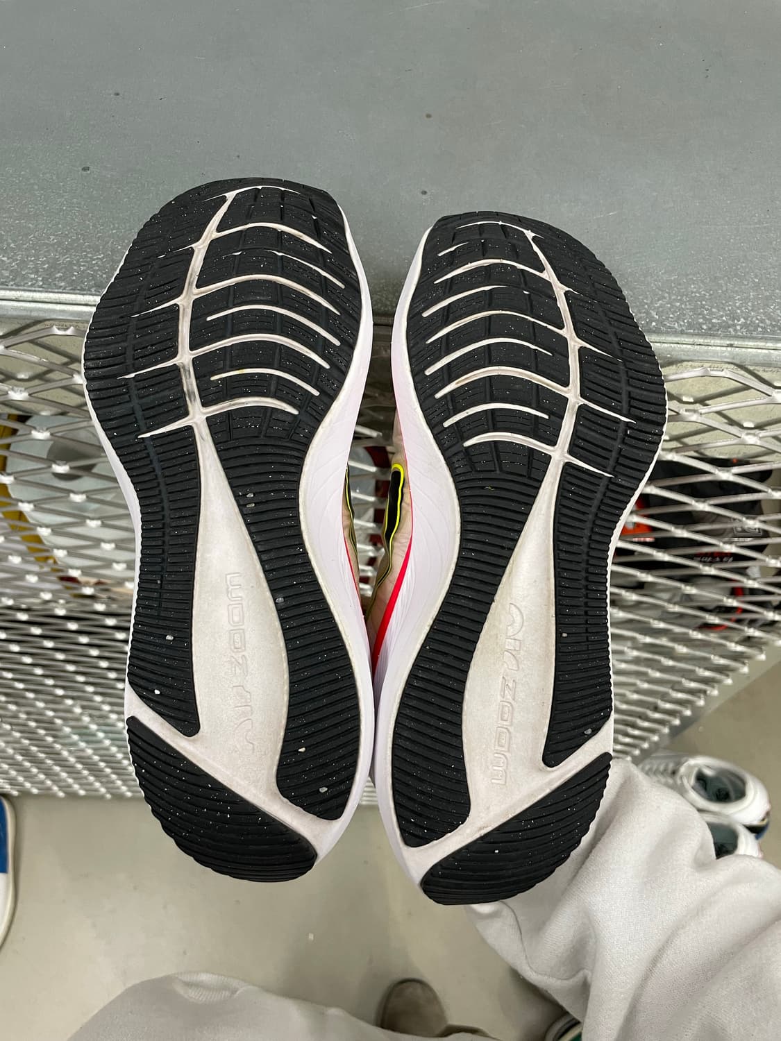 나이키 줌 윈플로 8 260 상품이미지6