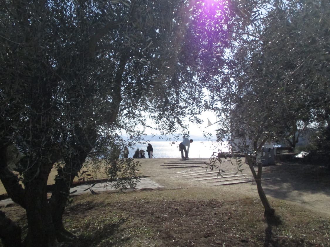 캐논 익서스 175 익시 180 디카 상품이미지5