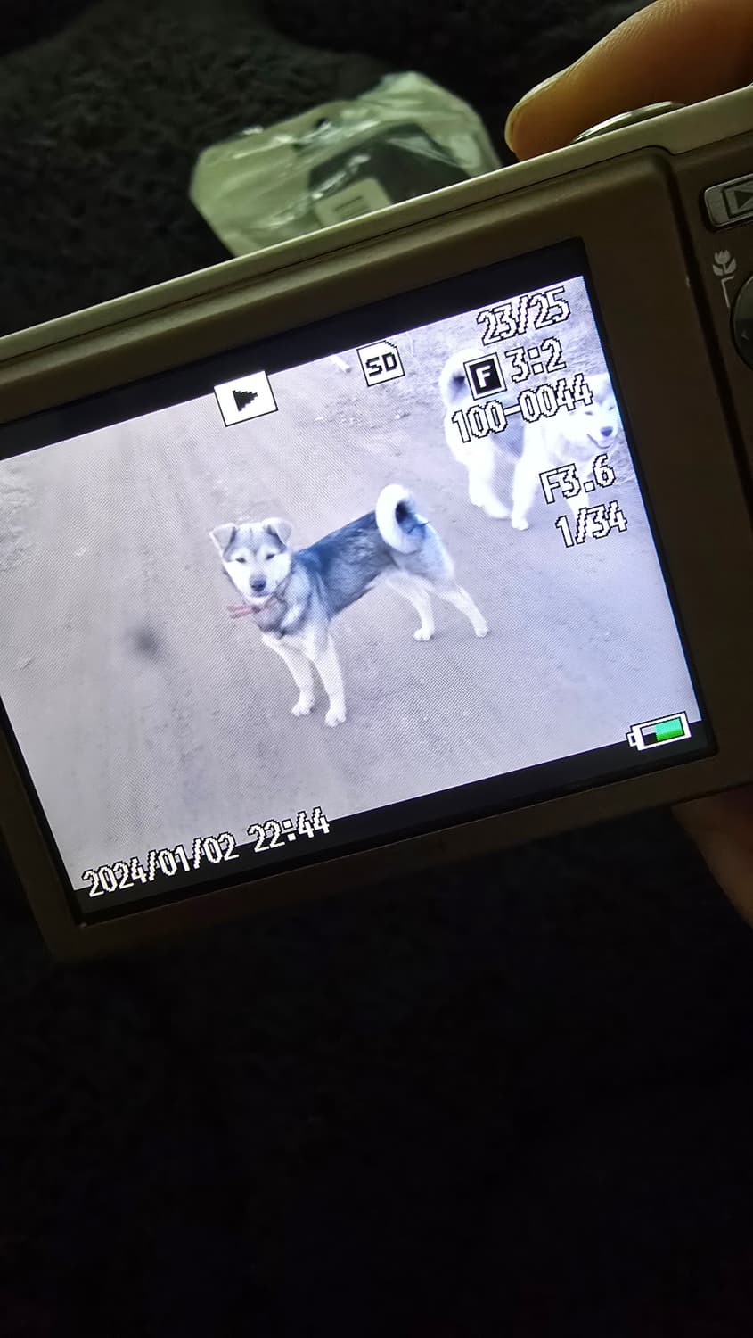 리코 R10 디카 판매합니다 상품이미지8