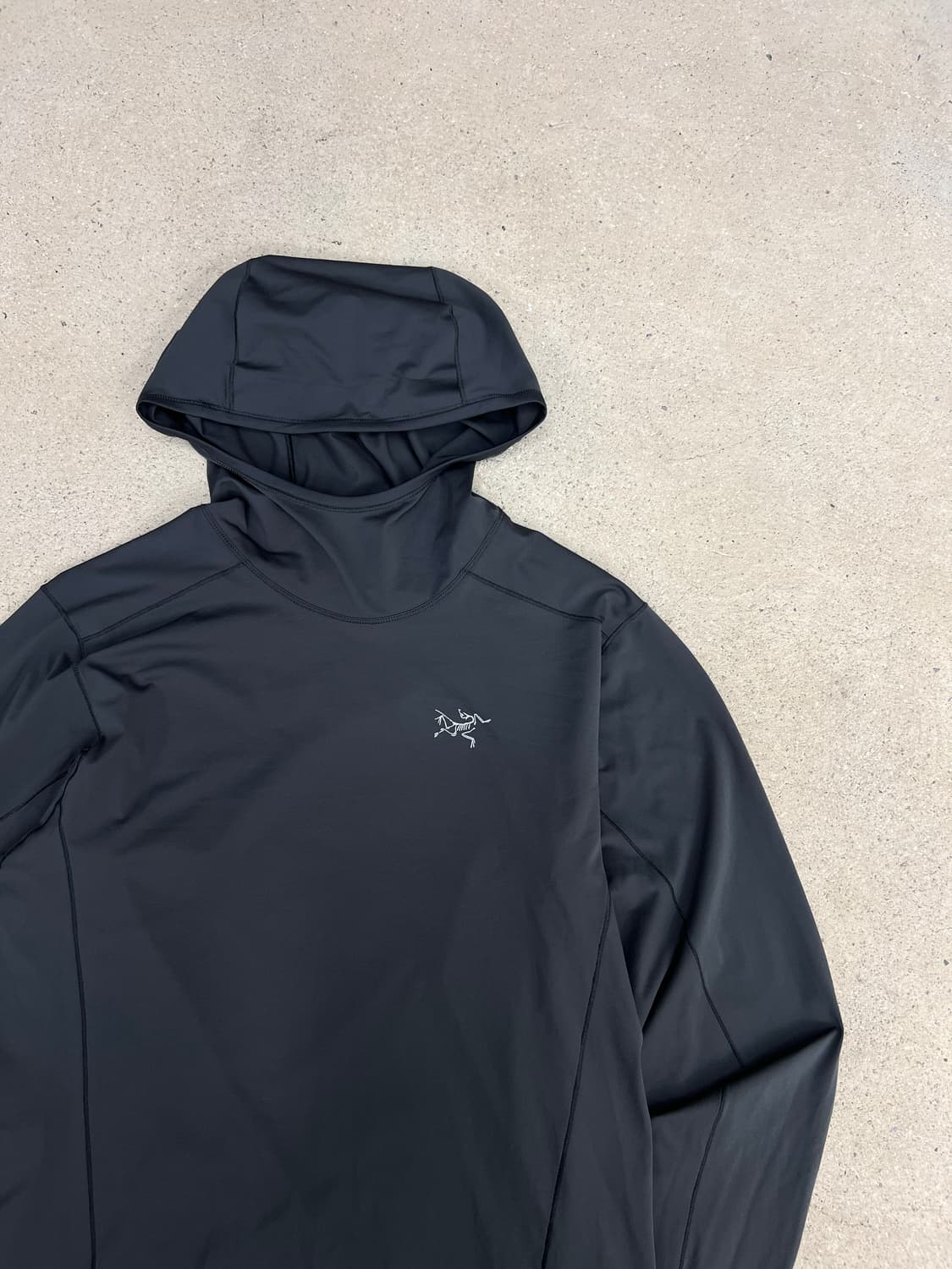 아크테릭스 페이직 선 후디 상품이미지5