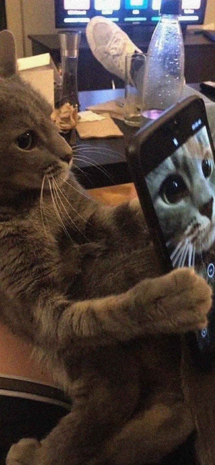 오늘 세일 끝나는거 아시죠 ..?👼🏻(예약 가능) 상품이미지1