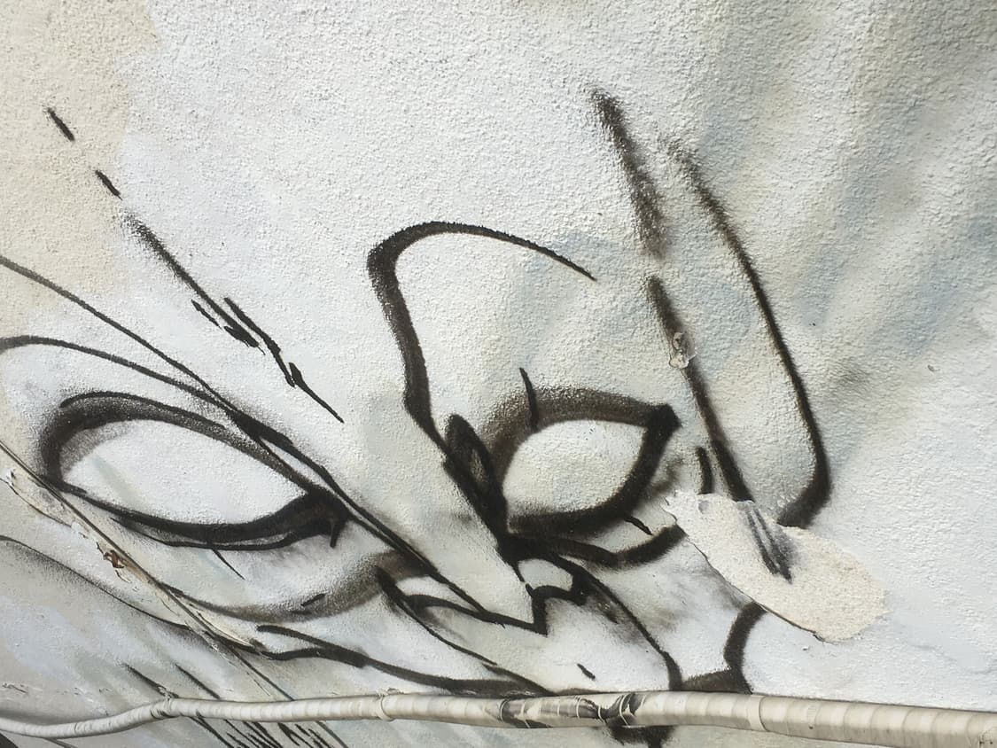 eirik reservation 상품이미지1