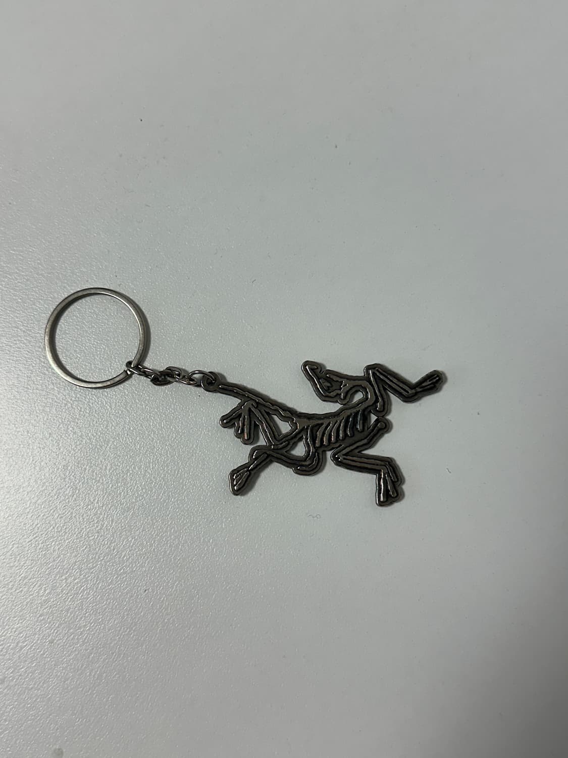 아크테릭스 키링 상품이미지2