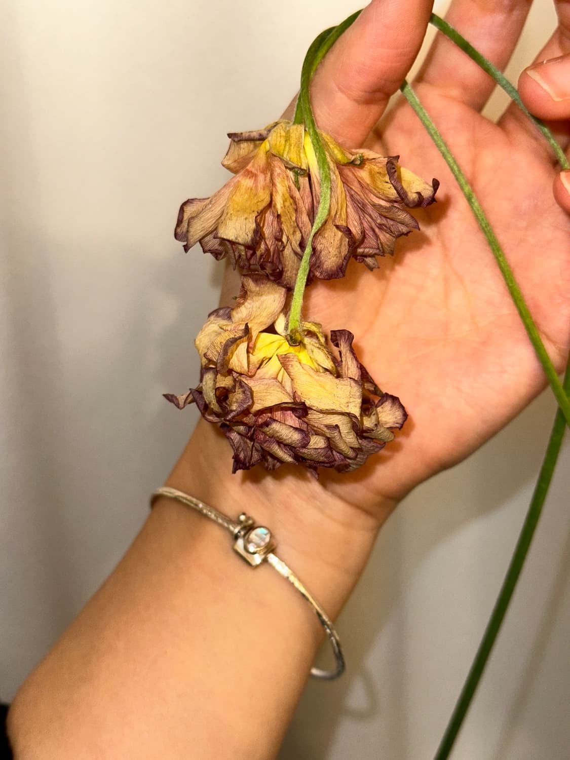 Musta moonstone 925silver bangle 상품이미지4