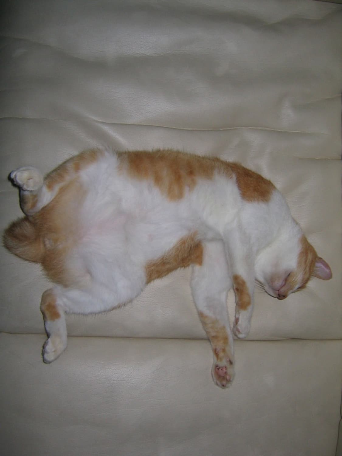 캐논 IXY Digital 30 (IXUS 40/SD300) 빈티지 디카 상품이미지9