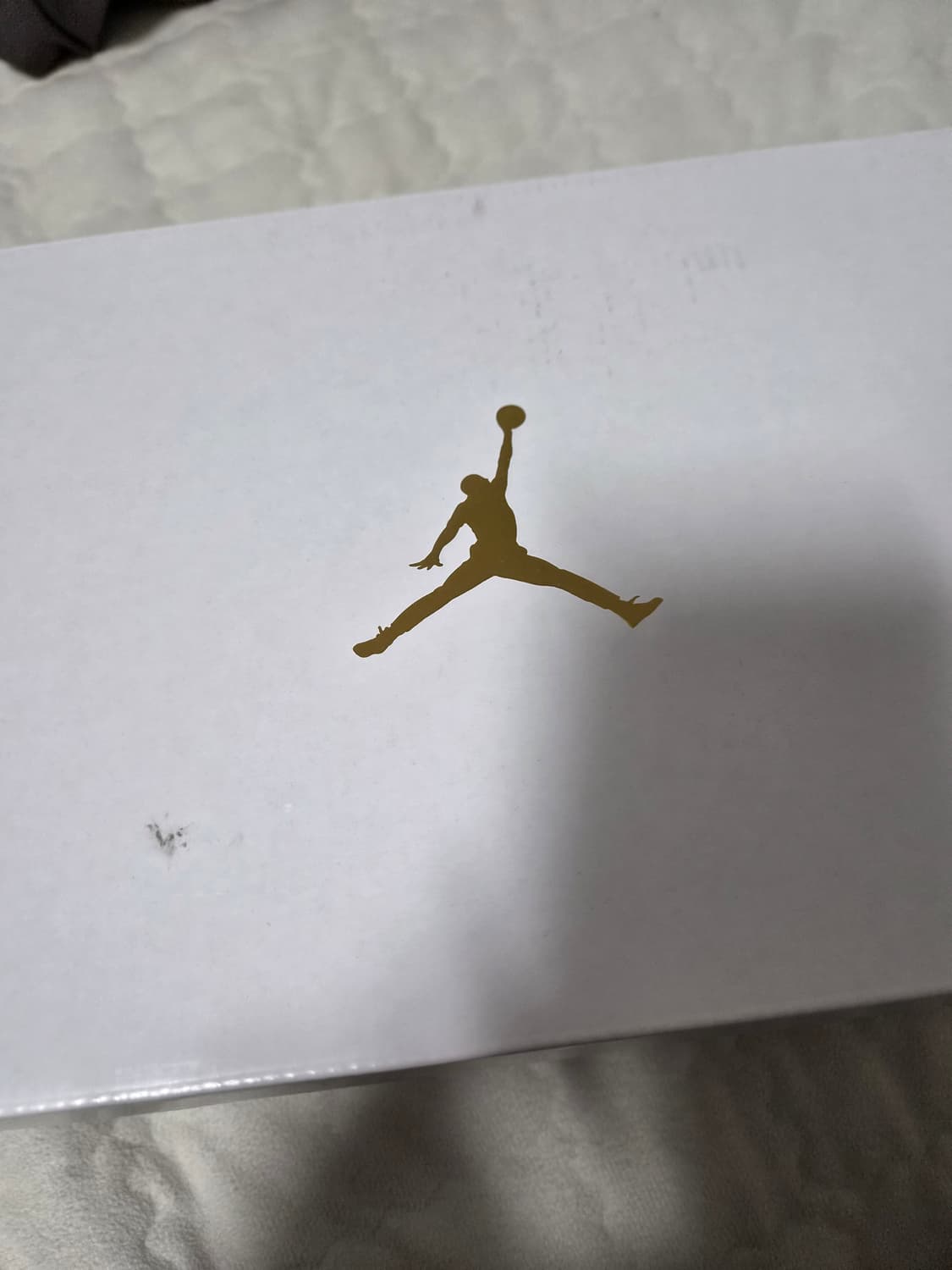 조던 250 상품이미지2