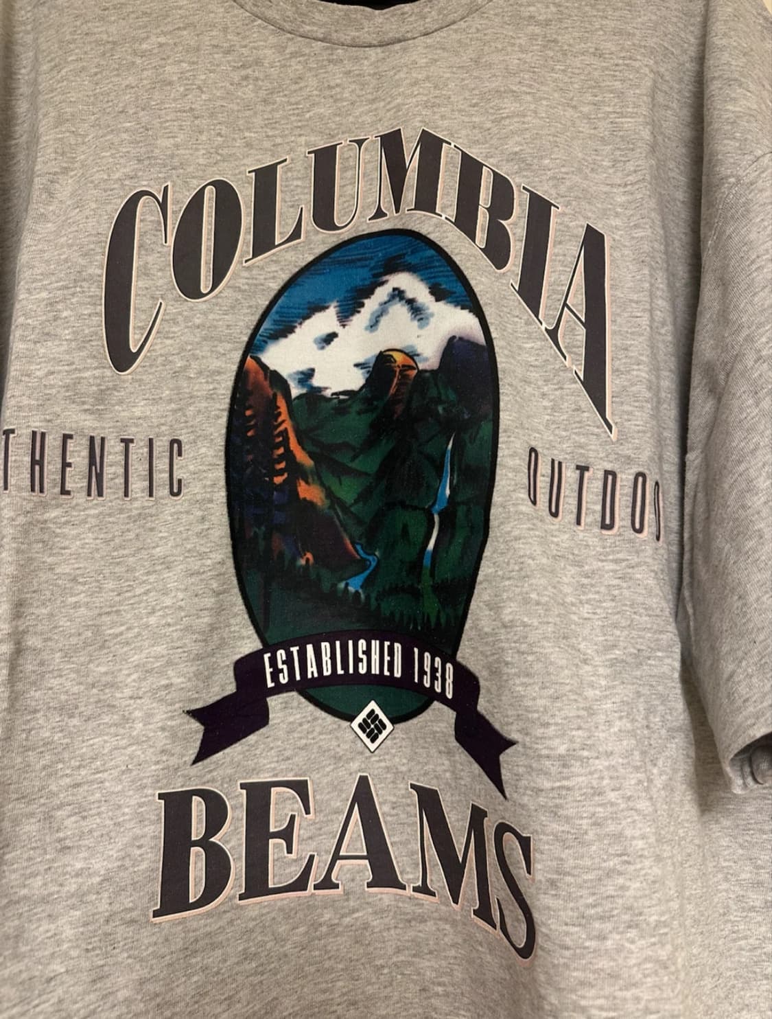 beams x columbia  티셔츠  상품이미지4