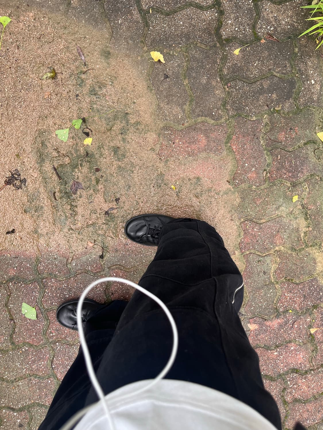 아디다스 스탠스미스 y-3 상품이미지2