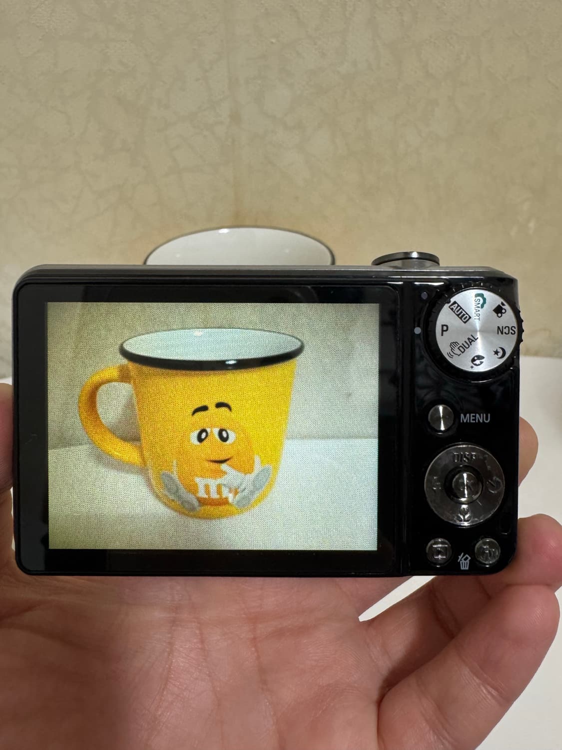 [한효주디카]삼성 VLUU PL150 디카 상품이미지3