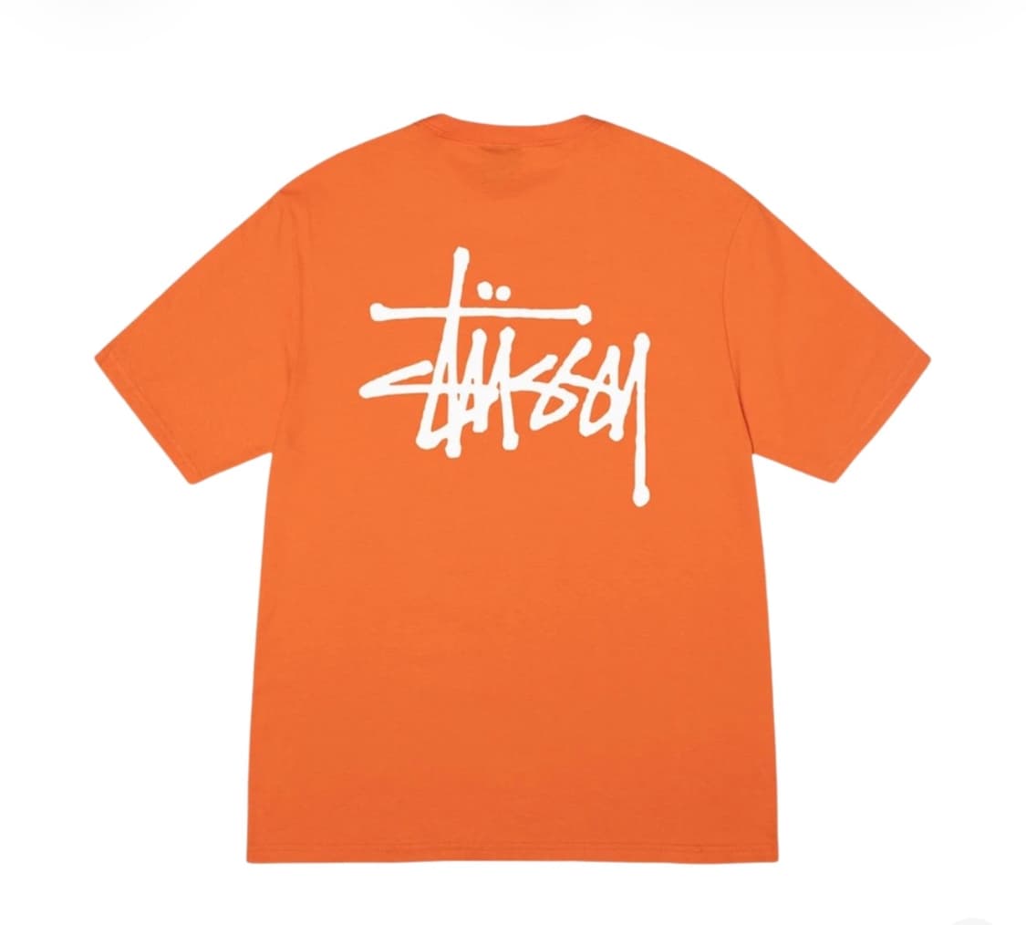 스투시 베이직 스투시 티셔츠 코랄 상품이미지2