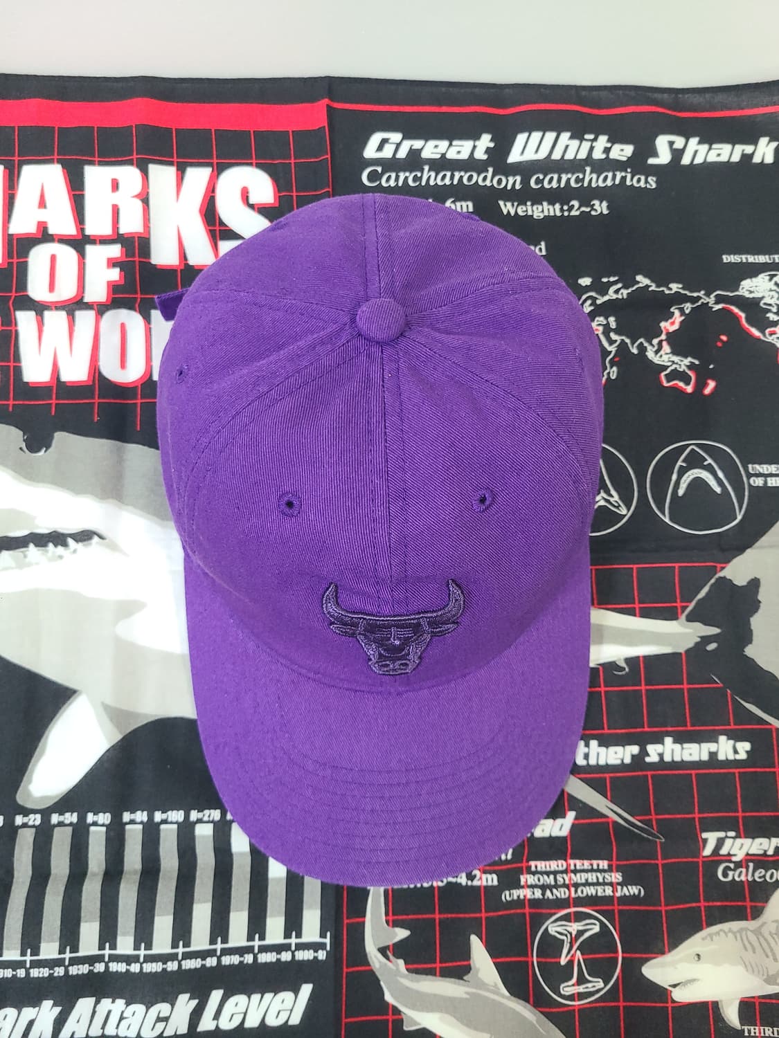 미첼앤네스 시카고 불스 빈티지 모자 캡 볼캡 상품이미지3