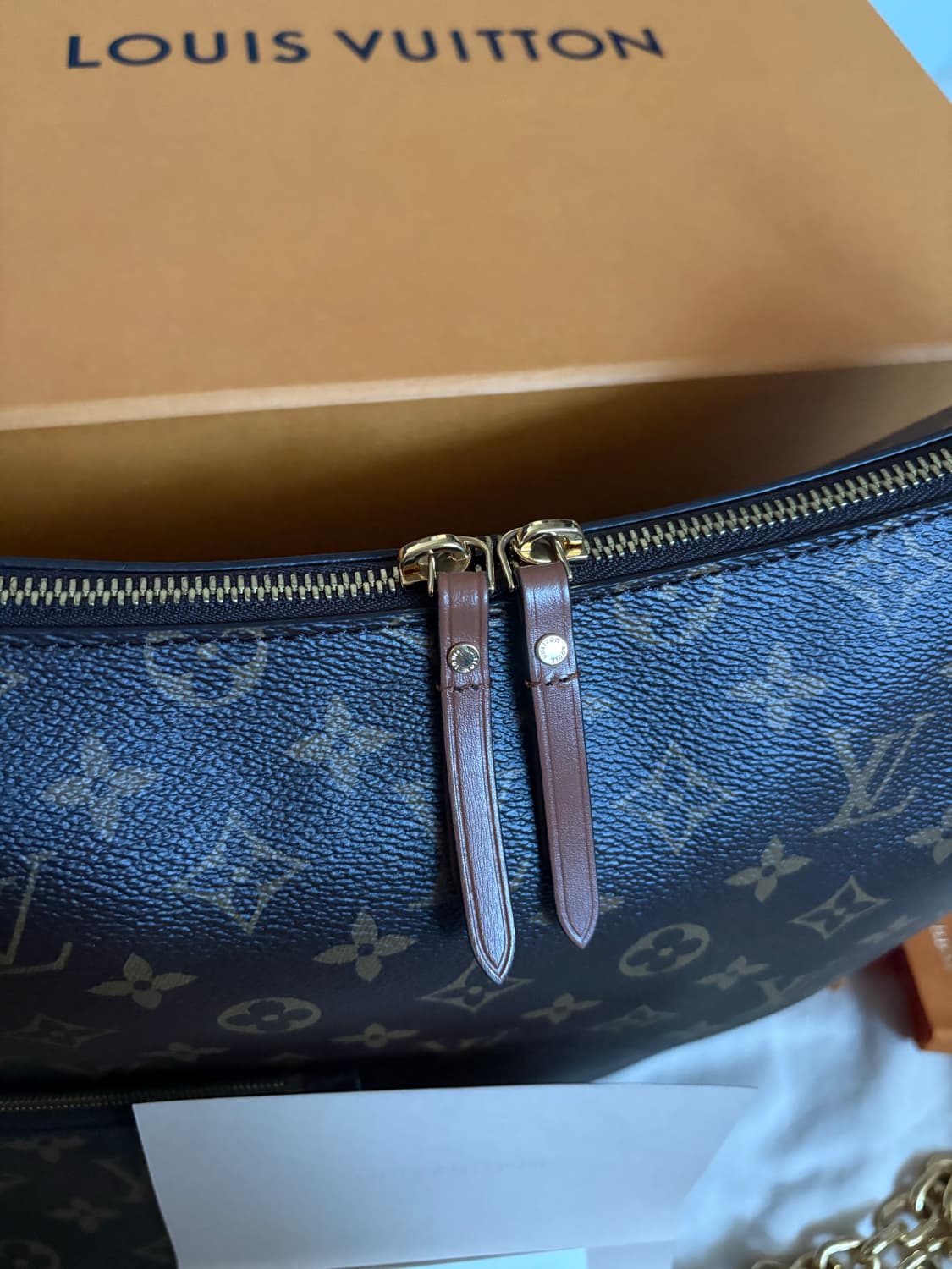 루이비통 루프 호보백 모노그램 M46311 상품이미지9