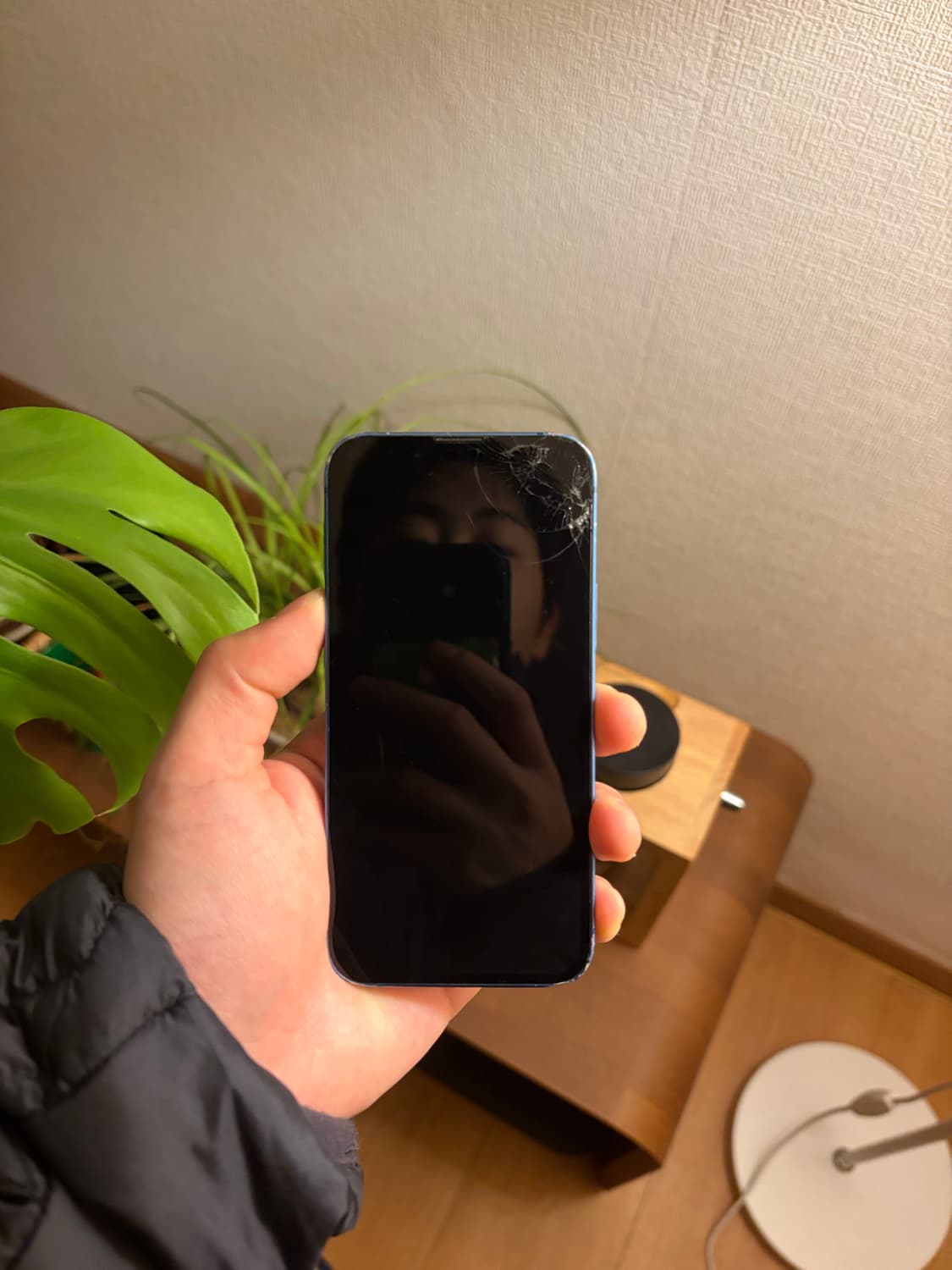 아이폰 13 미니 128GB 상품이미지2