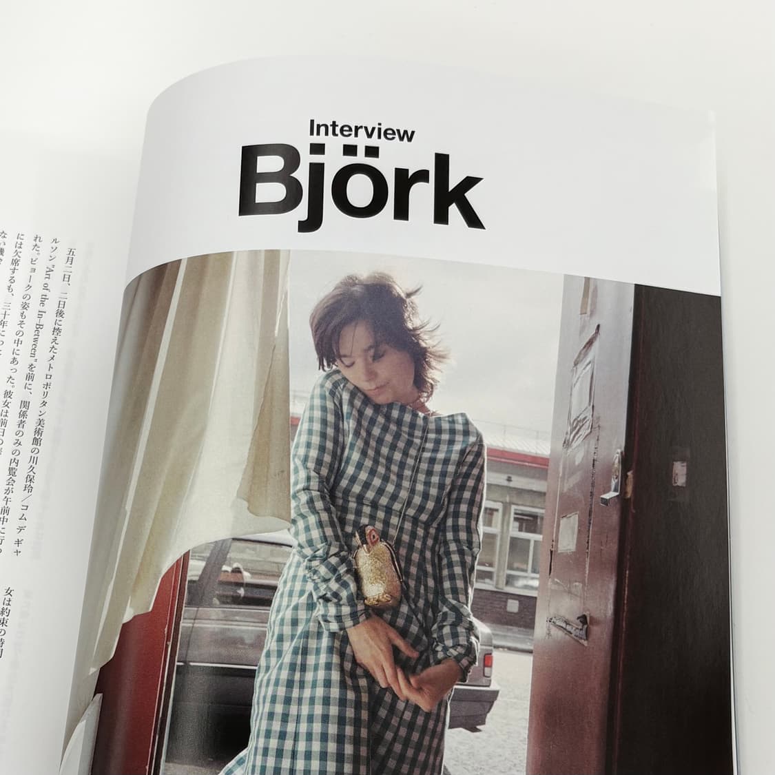 SWITCH magazine Comme des Garcons Bjork 상품이미지3