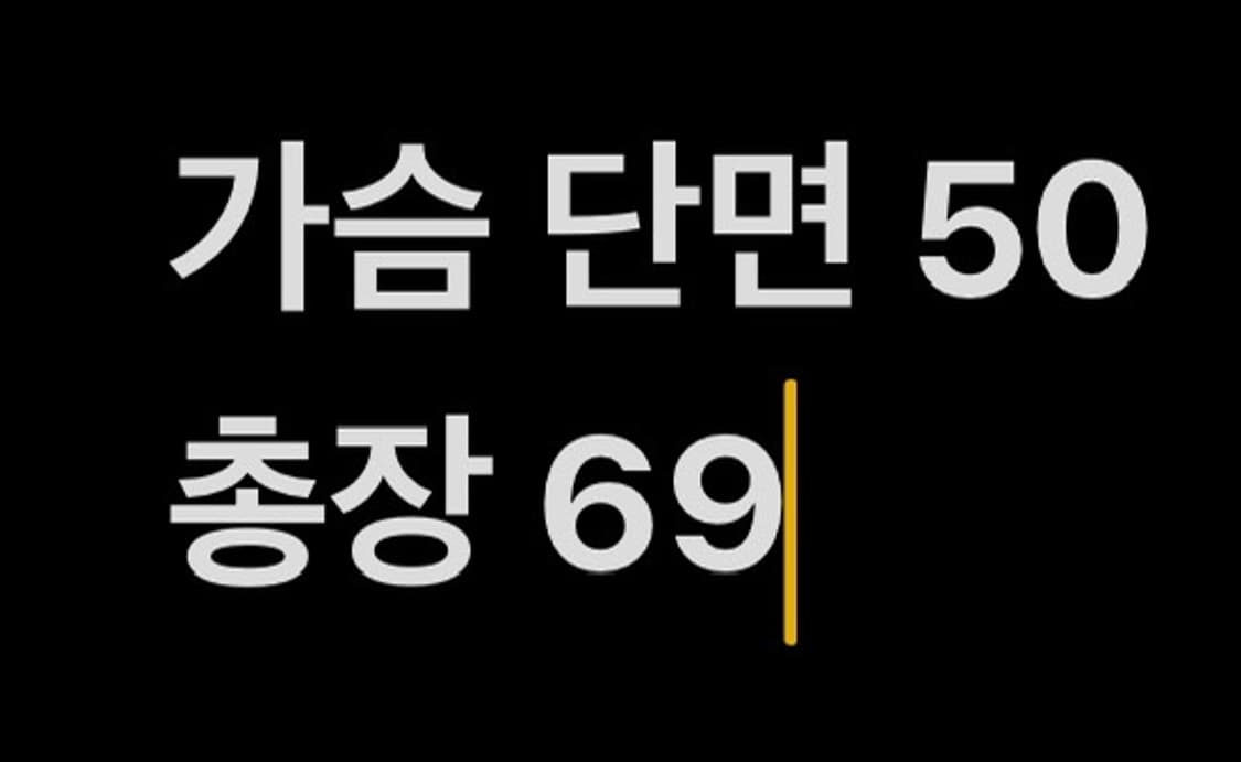 [ 정품 ] 폴로 랄프로렌 슬림핏 체크 셔츠 b15 상품이미지7