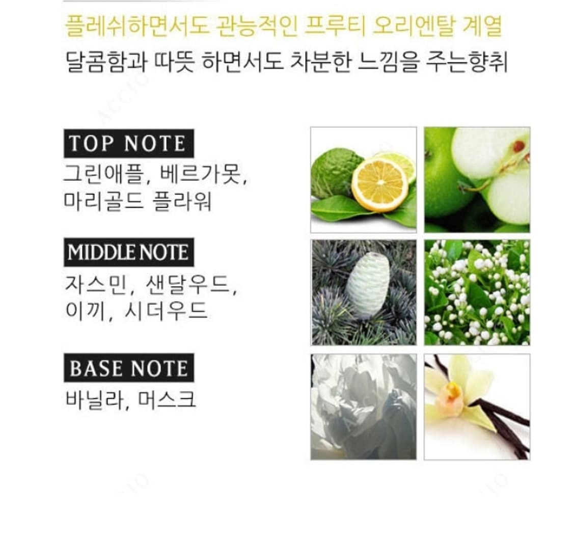 버버리 클래식 우먼 오드퍼퓸 100ml 상품이미지4