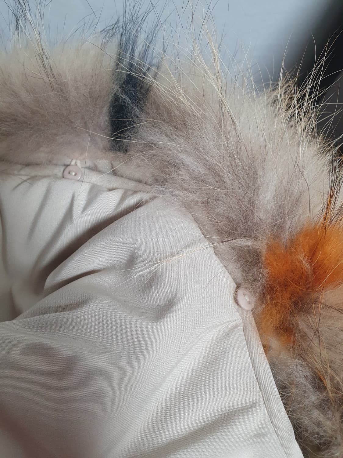 버버리 여성 롱패딩 라쿤퍼 베이지 다운파카 S 상품이미지5