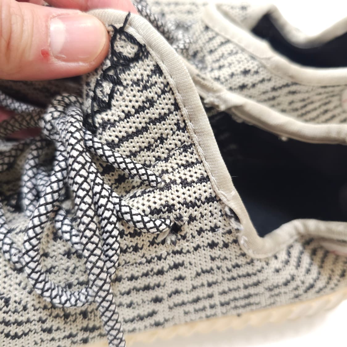 아디다스 이지부스트 350 V1

터틀도브 상품이미지5