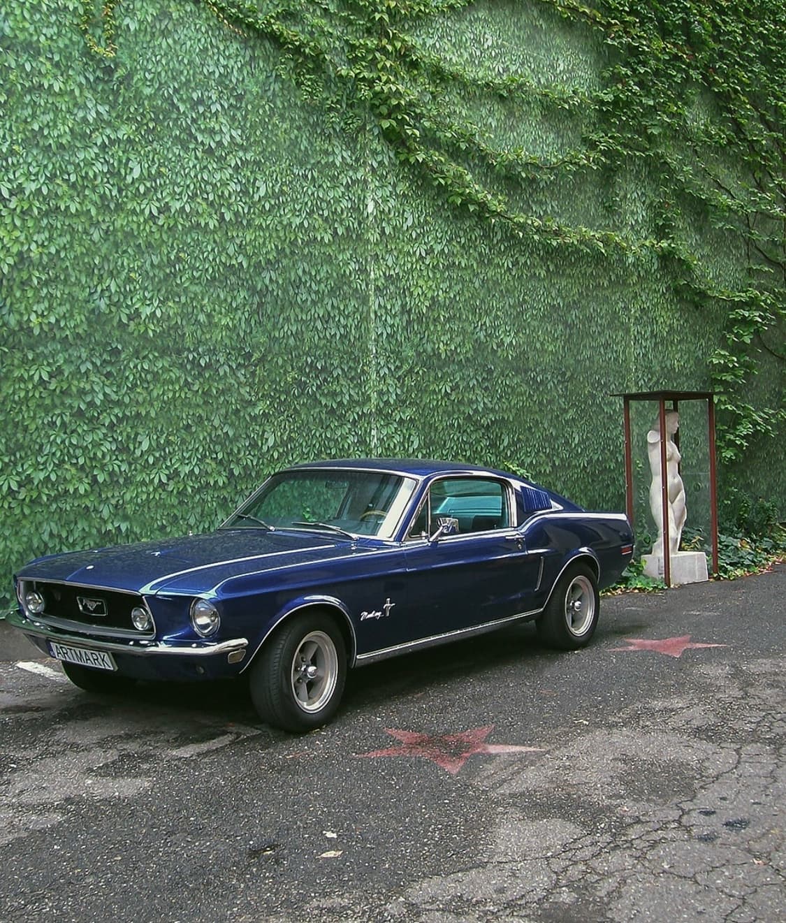 📸 Kodak EasyShare C703 상품이미지5