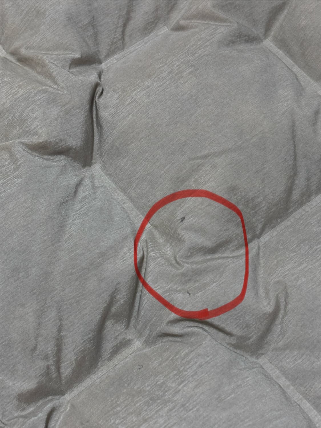 palace 22fw 퍼텍스 워크 다운 상품이미지5