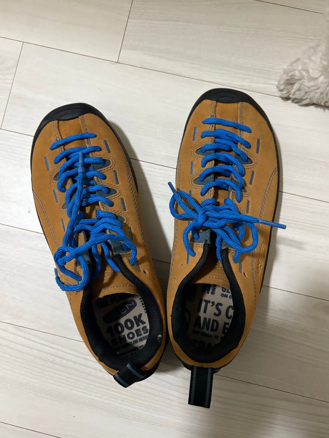 킨 제스퍼 카멜 230 eu36 상품이미지2