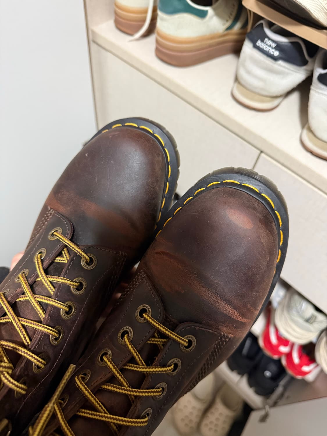 닥마 디네댓 270 상품이미지2