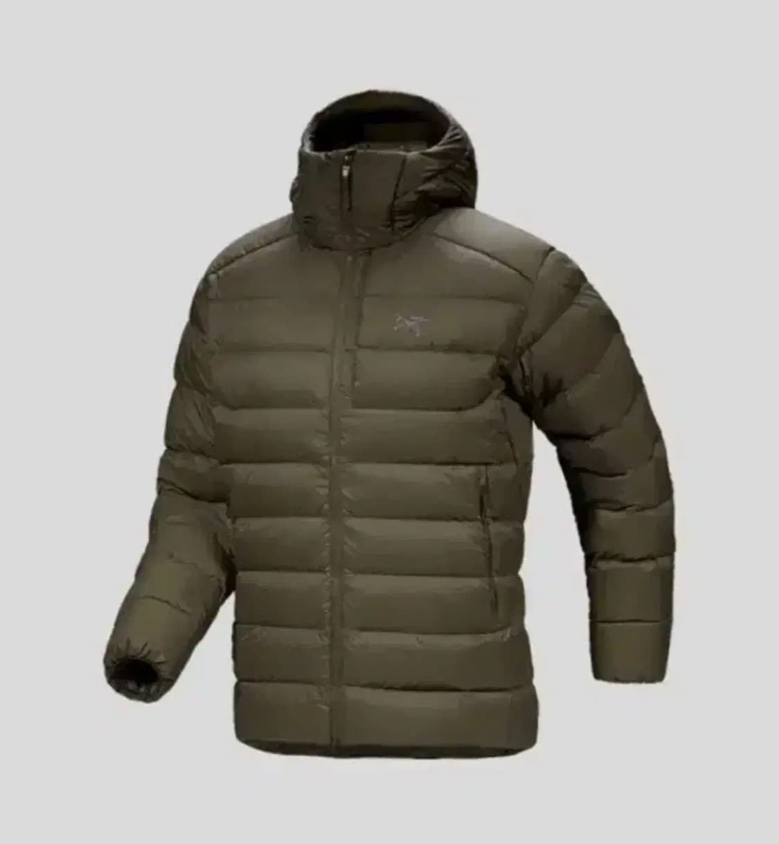 아크테릭스 토륨후디 타츠 S 상품이미지1