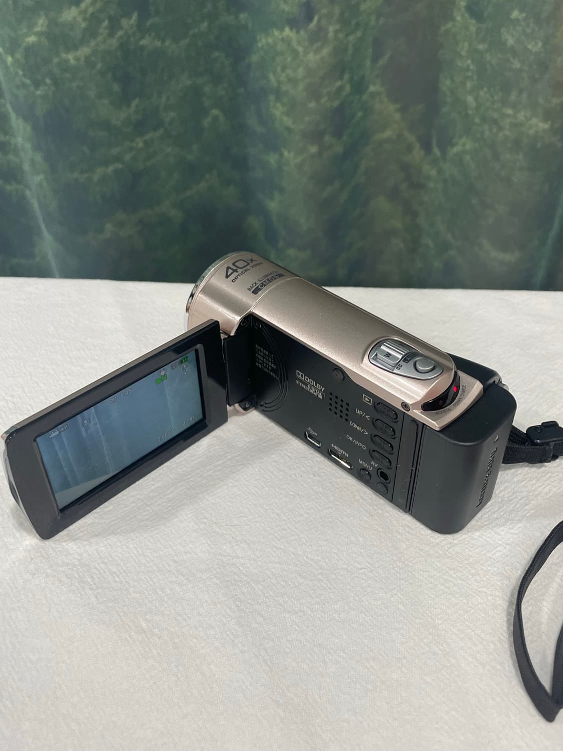 (셀카) JVC gz-e77 디지털캠코더 빈티지캠코더 디카 상품이미지5
