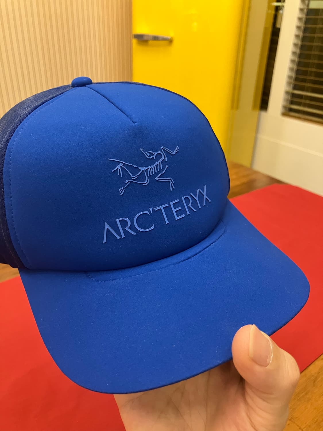 아크테릭스 모자 블루 상품이미지4