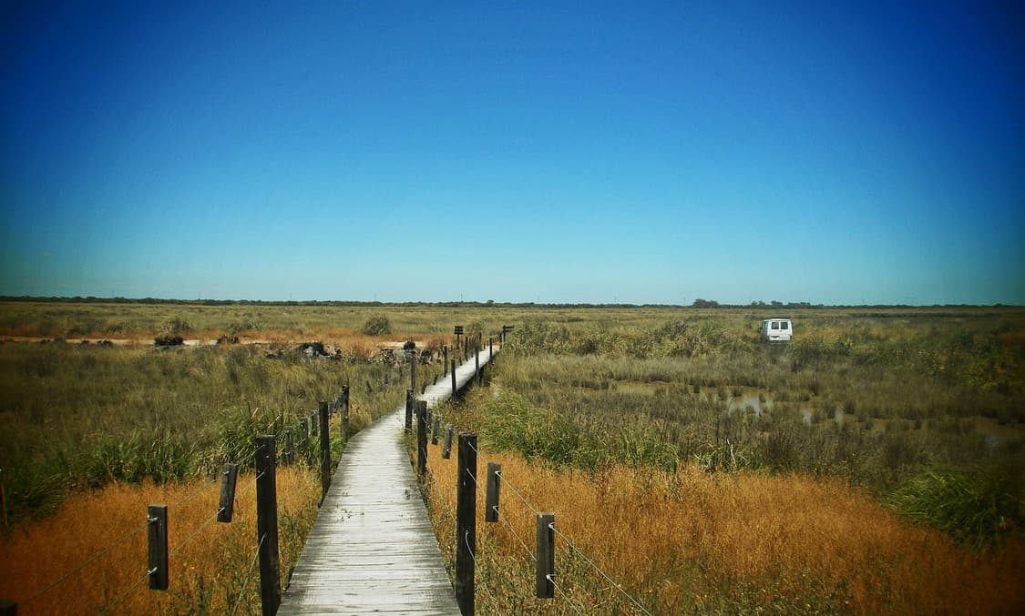 올림푸스 FE-4020 빈티지 디카 판매합니다 상품이미지9