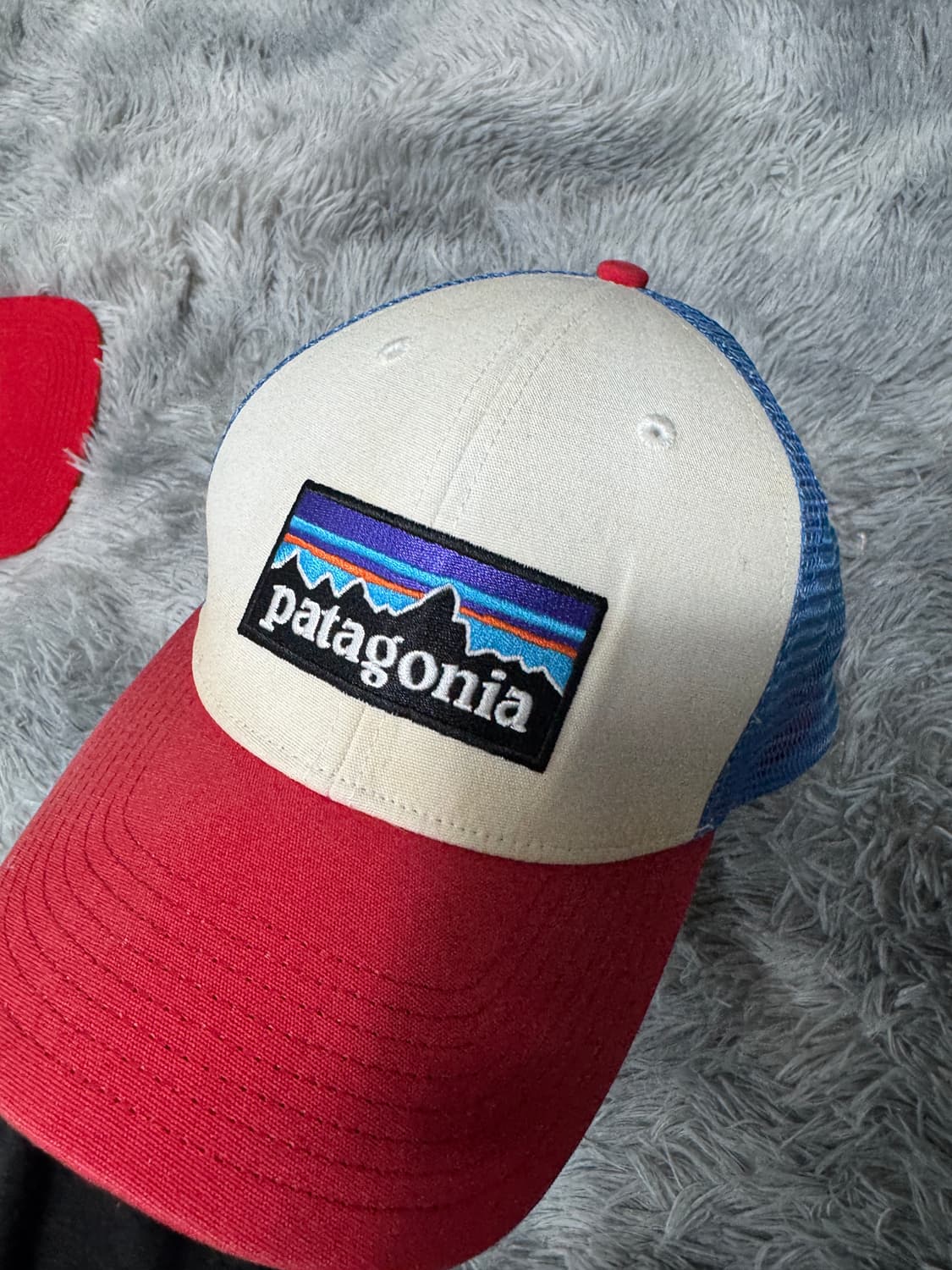파타고니아 P-6 로고 트러커캡  상품이미지2