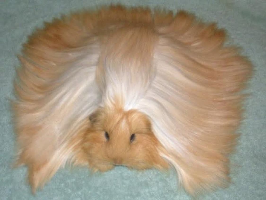 라부부 캐러멜 사탕 결제창입니다 ★ 상품이미지1