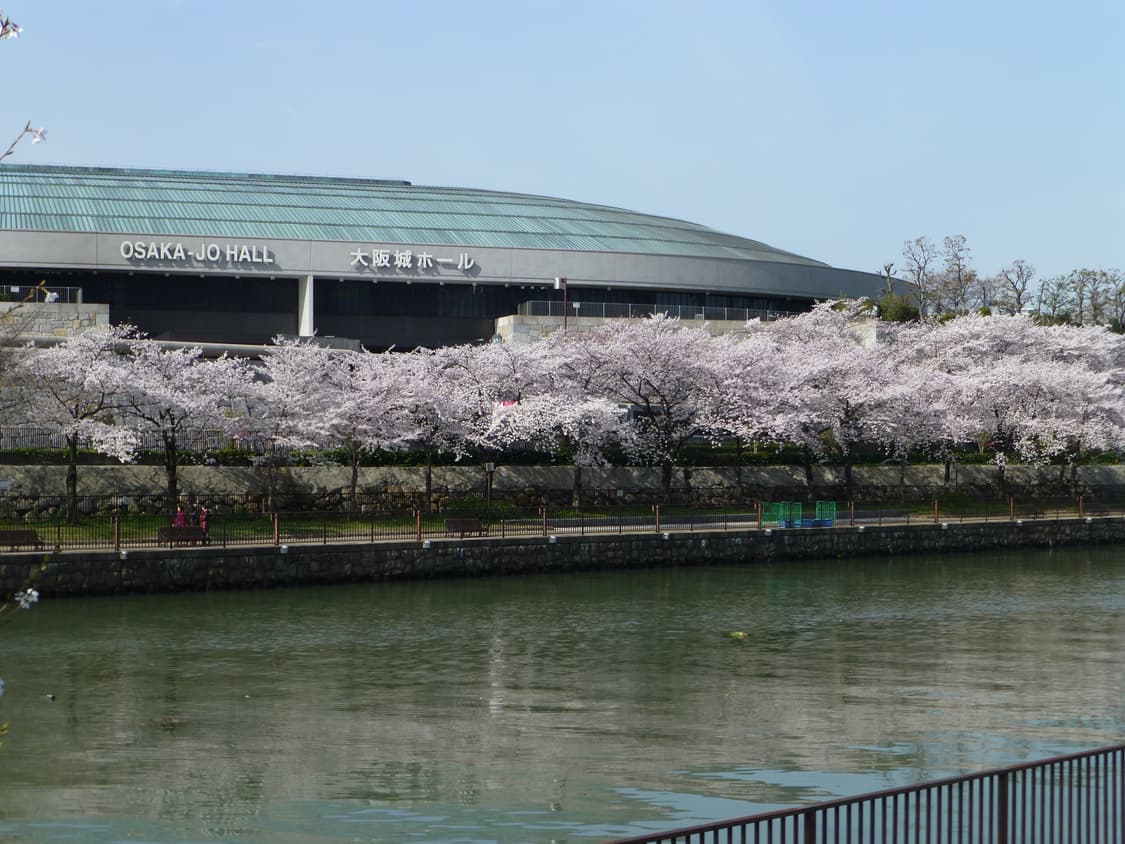 파나소닉 루믹스 DMC-TZ30 화이트 ✨ 상품이미지8