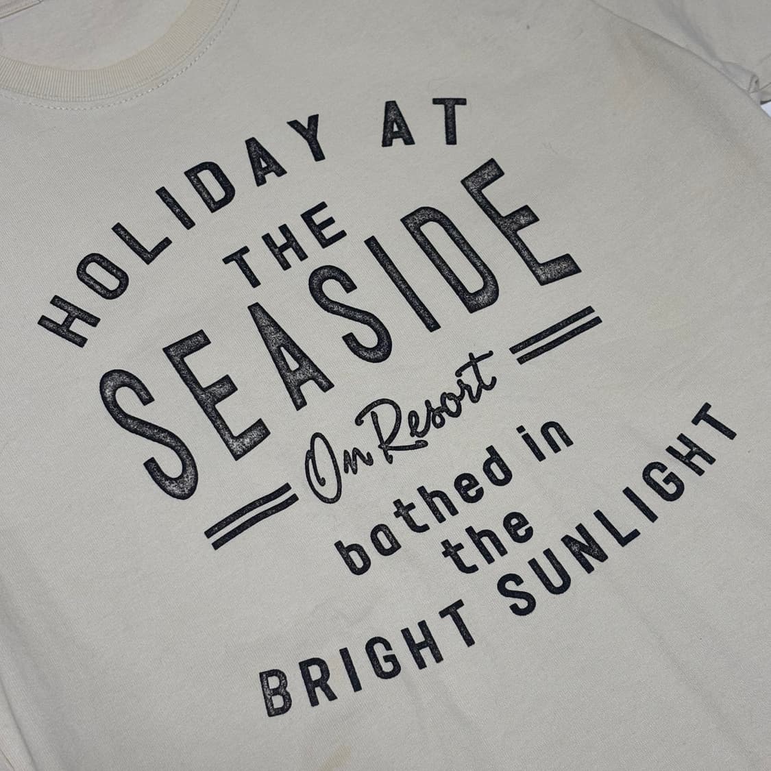 레코딩 버즈(Recording Birds) 그래픽 베이지 티셔츠 상품이미지2